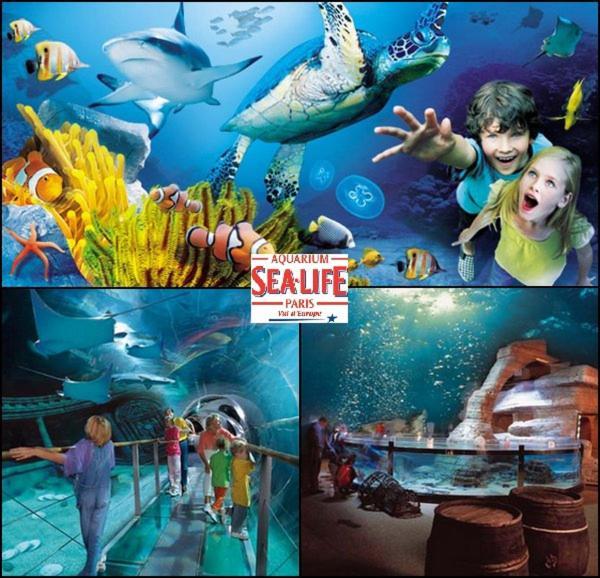 Disneyland Paris 6 Pers- Wifi - Disney Tv Wifi, Parking Шессі Екстер'єр фото